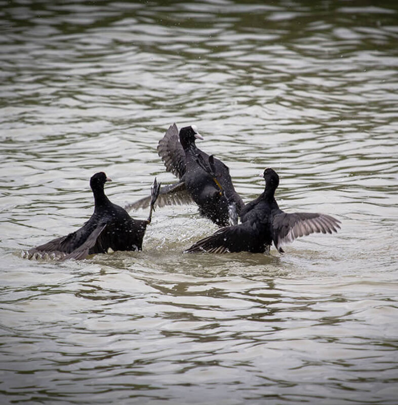 October 2022 horizontal 8