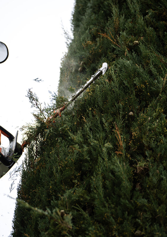 Twl april 2024 refresh horizontal 4