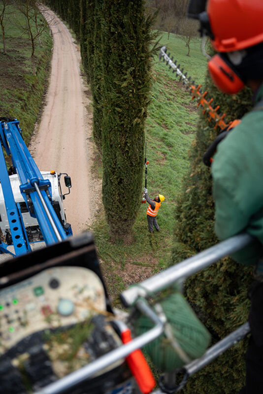 Twl april 2024 refresh horizontal 6