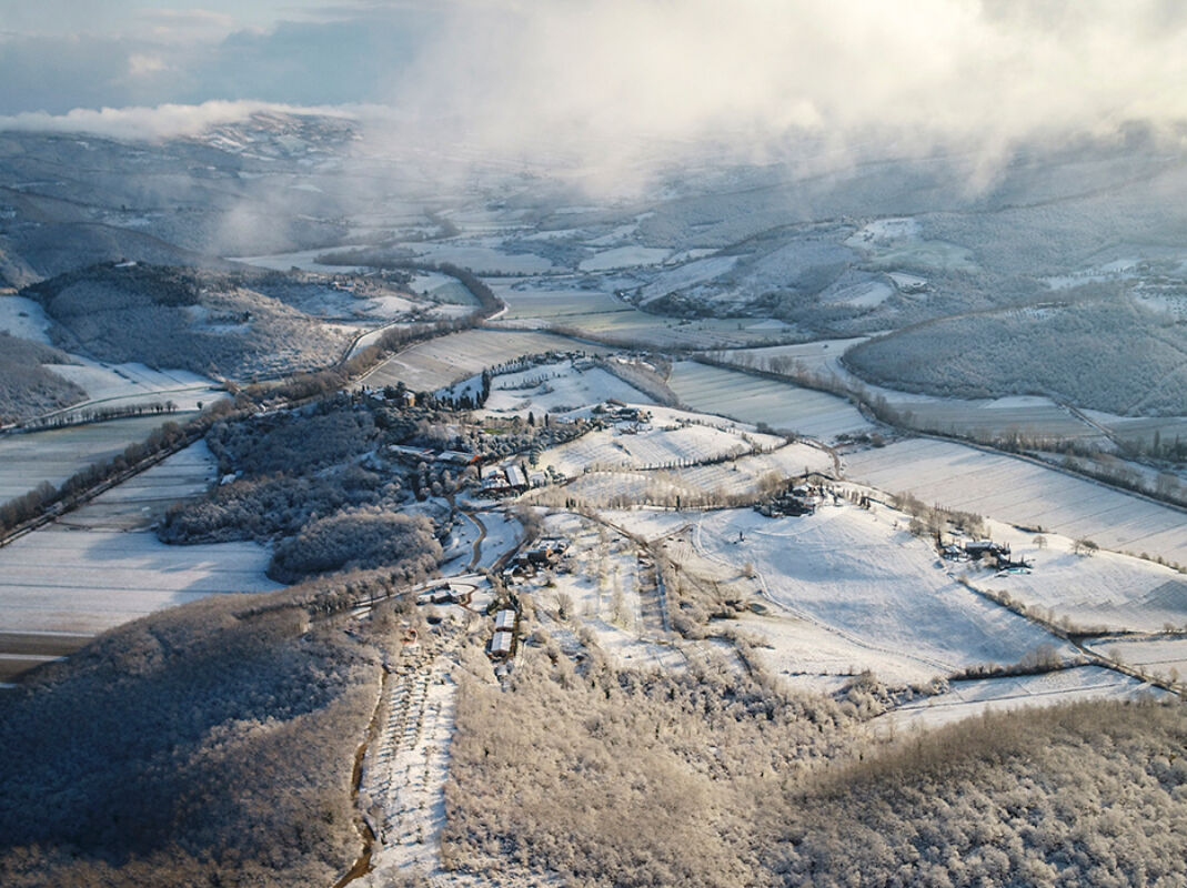 Twl january horizontal 1