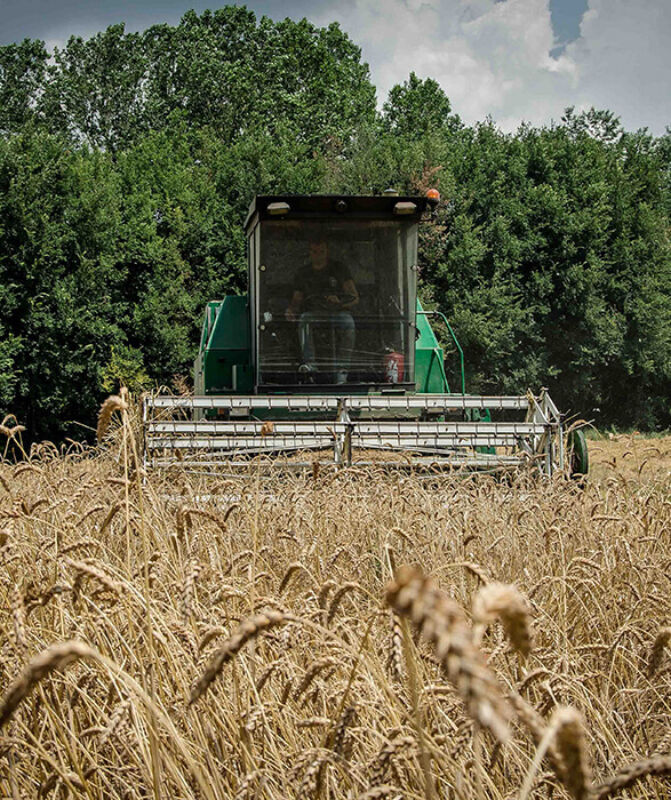 Twl june 2023 horizontal 17