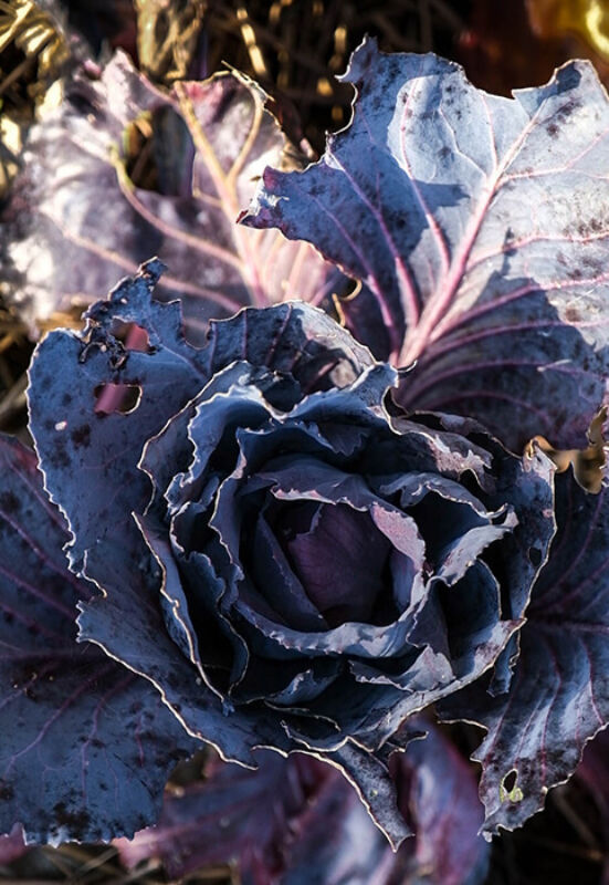 Twl june 2023 horizontal 4