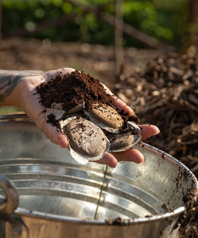 Twl june 2023 horizontal 7