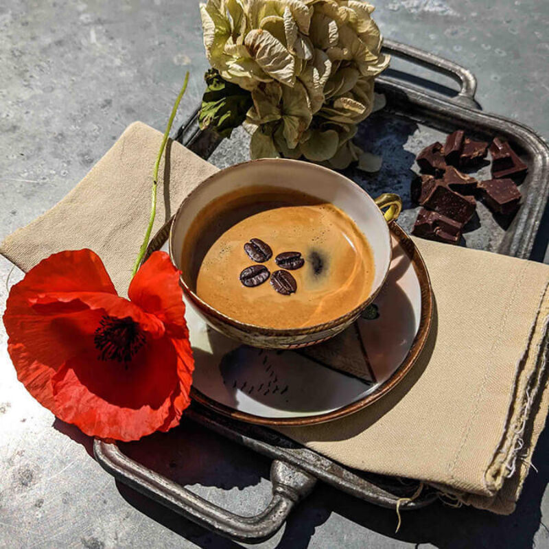 Twl may 2023 horizontal 12