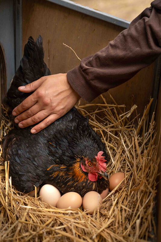 Twl may 2023 horizontal 15